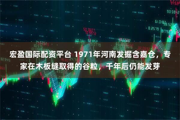 宏盈国际配资平台 1971年河南发掘含嘉仓，专家在木板缝取得的谷粒，千年后仍能发芽