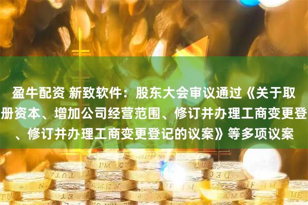 盈牛配资 新致软件：股东大会审议通过《关于取消监事会、变更公司注册资本、增加公司经营范围、修订并办理工商变更登记的议案》等多项议案