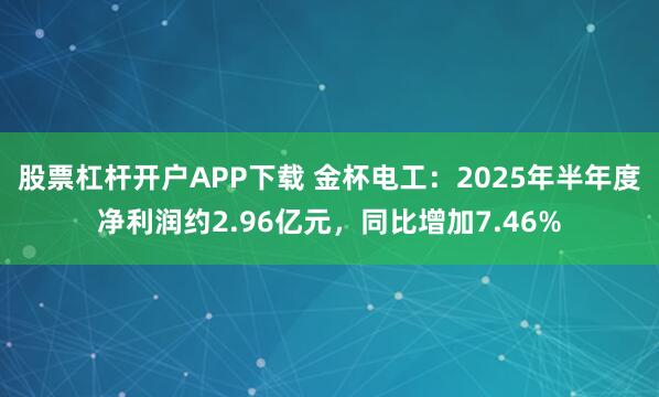 股票杠杆开户APP下载 金杯电工：2025年半年度净利润约2.96亿元，同比增加7.46%