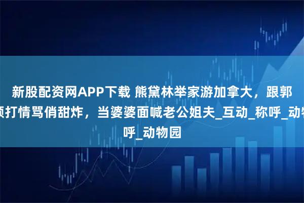 新股配资网APP下载 熊黛林举家游加拿大，跟郭可颂打情骂俏甜炸，当婆婆面喊老公姐夫_互动_称呼_动物园